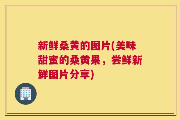 新鲜桑黄的图片(美味甜蜜的桑黄果,尝鲜新鲜图片分享) 新鲜桑黄的图片(美味甜蜜的桑黄果,尝鲜新鲜图片分享)
