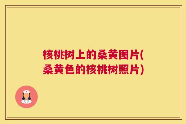 核桃树上的桑黄图片(桑黄色的核桃树照片) 核桃树上的桑黄图片(桑黄色的核桃树照片)
