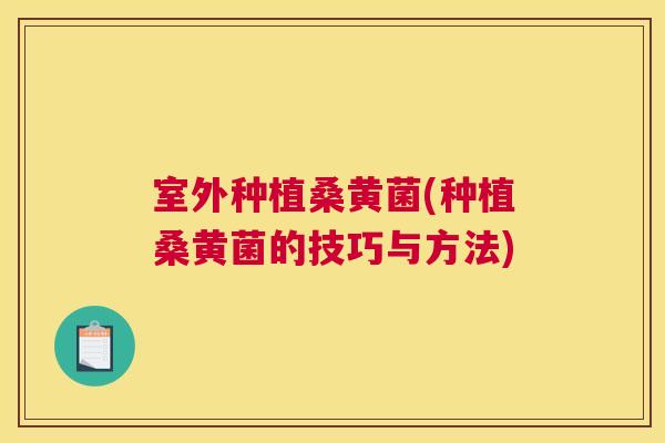 室外种植桑黄菌(种植桑黄菌的技巧与方法) 室外种植桑黄菌(种植桑黄菌的技巧与方法)