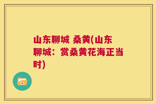 山东聊城 桑黄(山东聊城：赏桑黄花海正当时)