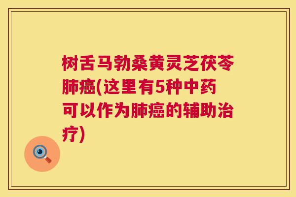 树舌马勃桑黄灵芝茯苓(这里有5种可以作为的辅助) 树舌马勃桑黄灵芝茯苓(这里有5种可以作为的辅助)