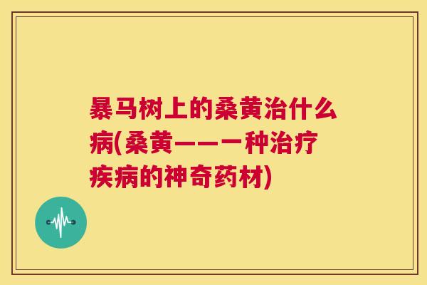 暴马树上的桑黄什么(桑黄——一种的神奇药材) 暴马树上的桑黄什么(桑黄——一种的神奇药材)