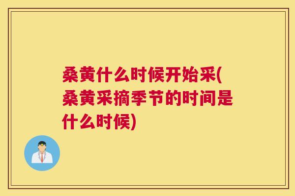 桑黄什么时候开始采(桑黄采摘季节的时间是什么时候) 桑黄什么时候开始采(桑黄采摘季节的时间是什么时候)