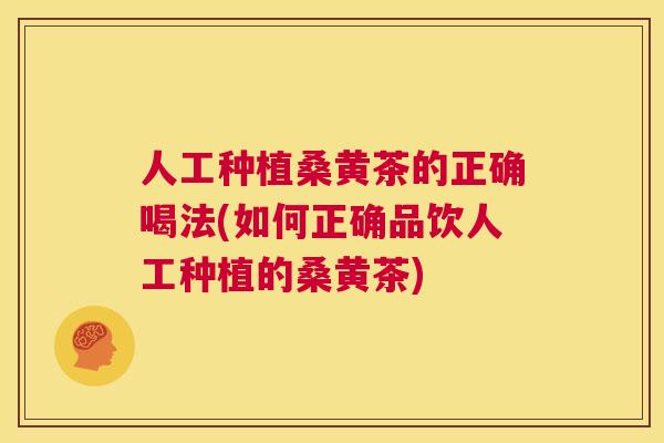 人工种植桑黄茶的正确喝法(如何正确品饮人工种植的桑黄茶) 人工种植桑黄茶的正确喝法(如何正确品饮人工种植的桑黄茶)