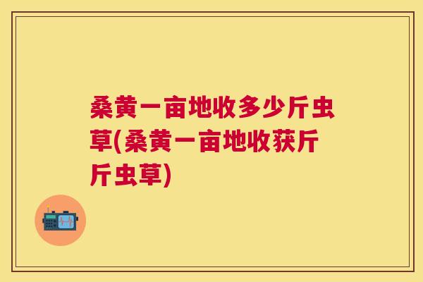 桑黄一亩地收多少斤虫草(桑黄一亩地收获斤斤虫草) 桑黄一亩地收多少斤虫草(桑黄一亩地收获斤斤虫草)