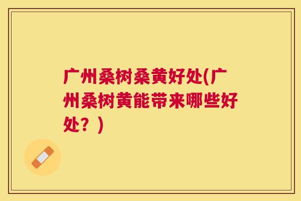 广州桑树桑黄好处(广州桑树黄能带来哪些好处?) 广州桑树桑黄好处(广州桑树黄能带来哪些好处?)