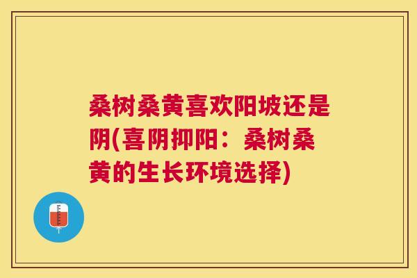 桑树桑黄喜欢阳坡还是阴(喜阴抑阳:桑树桑黄的生长环境选择) 桑树桑黄喜欢阳坡还是阴(喜阴抑阳:桑树桑黄的生长环境选择)