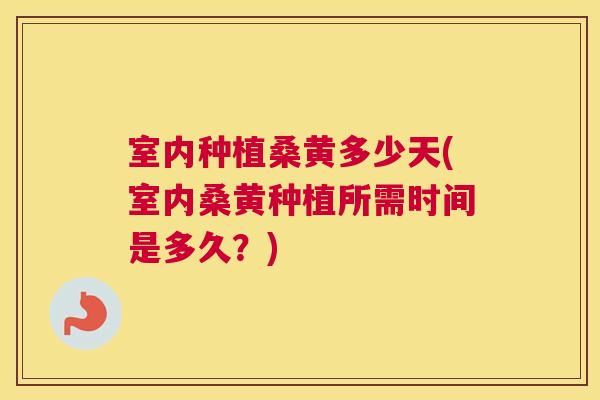 室内种植桑黄多少天(室内桑黄种植所需时间是多久?) 室内种植桑黄多少天(室内桑黄种植所需时间是多久?)