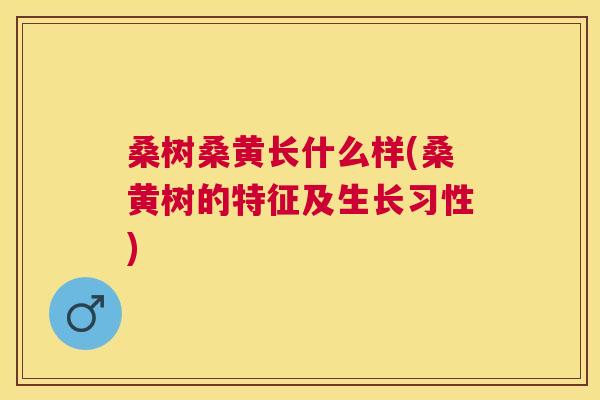 桑树桑黄长什么样(桑黄树的特征及生长习性) 桑树桑黄长什么样(桑黄树的特征及生长习性)