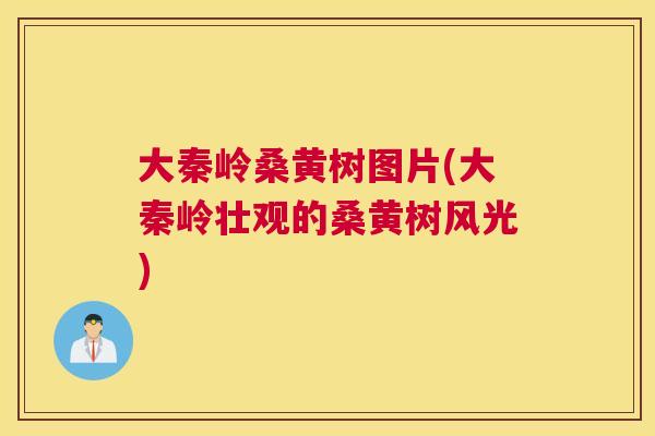 大秦岭桑黄树图片(大秦岭壮观的桑黄树风光) 大秦岭桑黄树图片(大秦岭壮观的桑黄树风光)