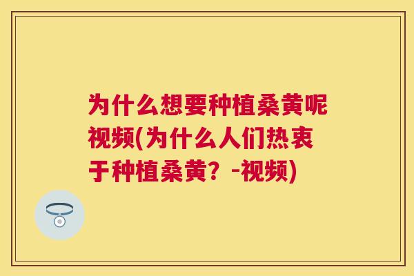 为什么想要种植桑黄呢视频(为什么人们热衷于种植桑黄?-视频) 为什么想要种植桑黄呢视频(为什么人们热衷于种植桑黄?-视频)