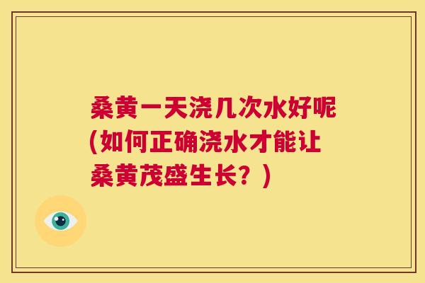 桑黄一天浇几次水好呢(如何正确浇水才能让桑黄茂盛生长？)