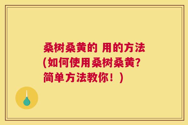 桑树桑黄的 用的方法(如何使用桑树桑黄?简单方法教你!) 桑树桑黄的 用的方法(如何使用桑树桑黄?简单方法教你!)