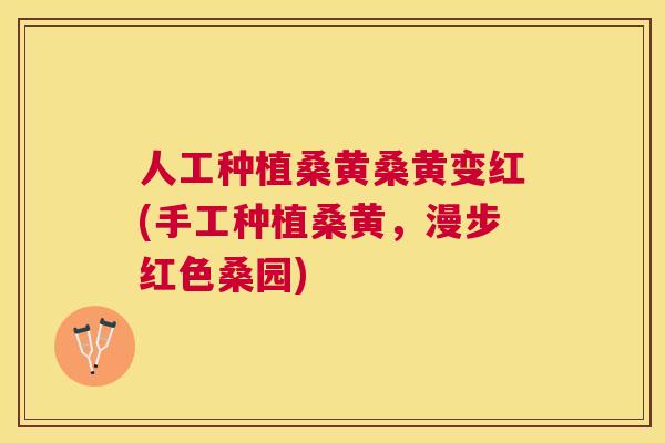 人工种植桑黄桑黄变红(手工种植桑黄,漫步红色桑园) 人工种植桑黄桑黄变红(手工种植桑黄,漫步红色桑园)