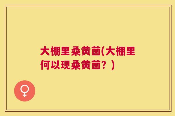 大棚里桑黄菌(大棚里何以现桑黄菌?) 大棚里桑黄菌(大棚里何以现桑黄菌?)
