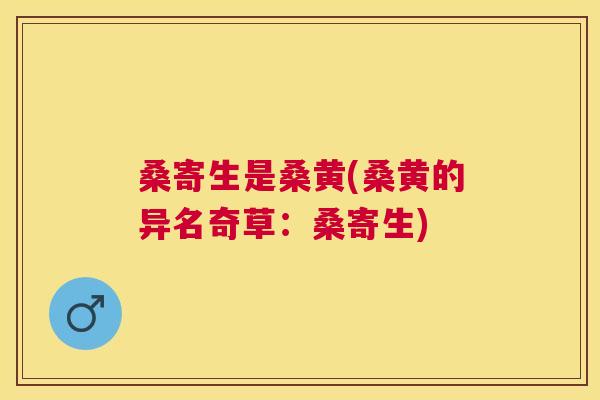 桑寄生是桑黄(桑黄的异名奇草:桑寄生) 桑寄生是桑黄(桑黄的异名奇草:桑寄生)