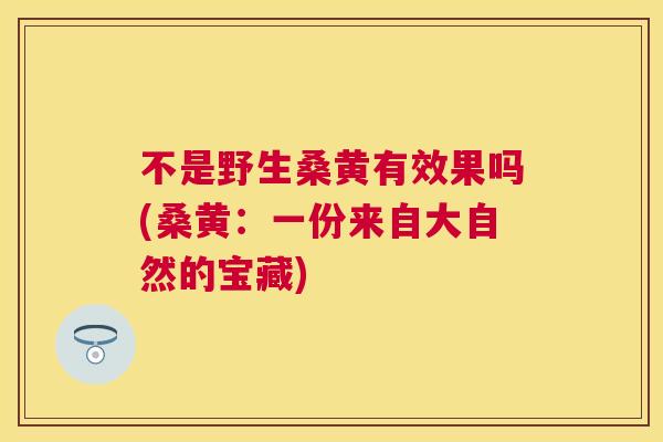 不是野生桑黄有效果吗(桑黄:一份来自大自然的宝藏) 不是野生桑黄有效果吗(桑黄:一份来自大自然的宝藏)