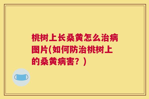 桃树上长桑黄怎么图片(如何防桃树上的桑黄害?) 桃树上长桑黄怎么图片(如何防桃树上的桑黄害?)