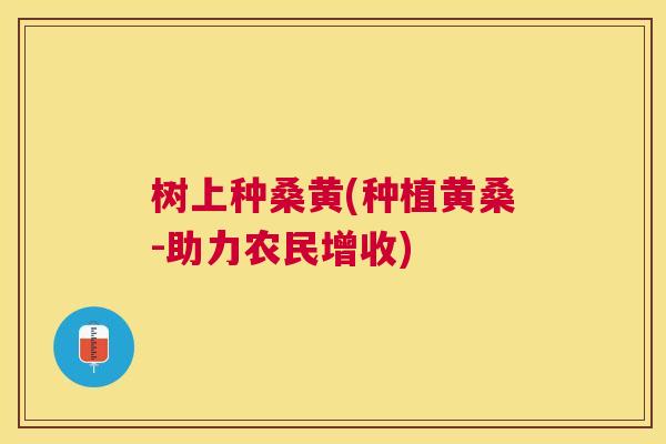 树上种桑黄(种植黄桑-助力农民增收) 树上种桑黄(种植黄桑-助力农民增收)