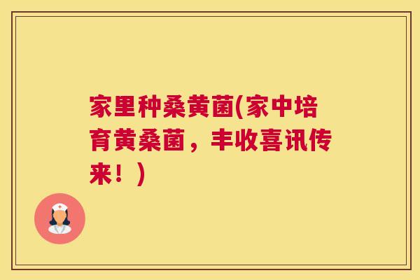 家里种桑黄菌(家中培育黄桑菌,丰收喜讯传来!) 家里种桑黄菌(家中培育黄桑菌,丰收喜讯传来!)