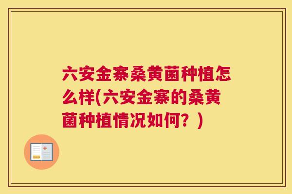 六安金寨桑黄菌种植怎么样(六安金寨的桑黄菌种植情况如何?) 六安金寨桑黄菌种植怎么样(六安金寨的桑黄菌种植情况如何?)
