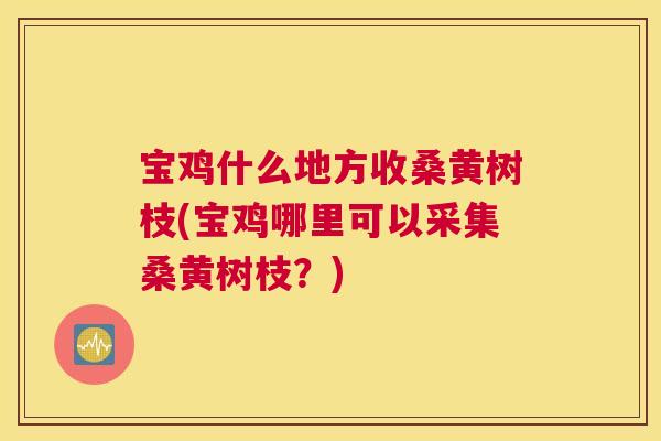 宝鸡什么地方收桑黄树枝(宝鸡哪里可以采集桑黄树枝?) 宝鸡什么地方收桑黄树枝(宝鸡哪里可以采集桑黄树枝?)