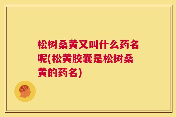 松树桑黄又叫什么药名呢(松黄胶囊是松树桑黄的药名) 松树桑黄又叫什么药名呢(松黄胶囊是松树桑黄的药名)