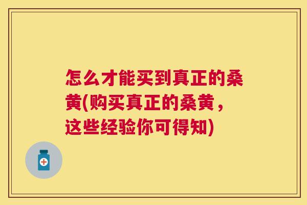 怎么才能买到真正的桑黄(购买真正的桑黄,这些经验你可得知) 怎么才能买到真正的桑黄(购买真正的桑黄,这些经验你可得知)
