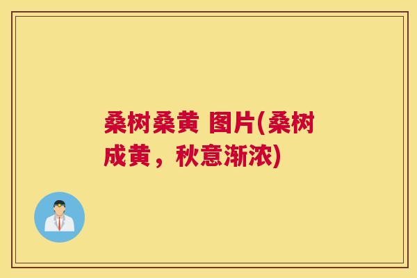 桑树桑黄 图片(桑树成黄,秋意渐浓) 桑树桑黄 图片(桑树成黄,秋意渐浓)