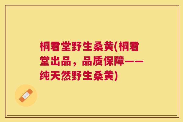 桐君堂野生桑黄(桐君堂出品,品质保障——纯天然野生桑黄) 桐君堂野生桑黄(桐君堂出品,品质保障——纯天然野生桑黄)