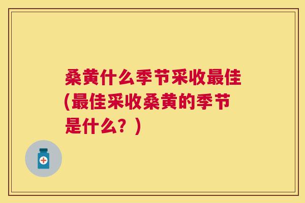 桑黄什么季节采收佳(佳采收桑黄的季节是什么？)