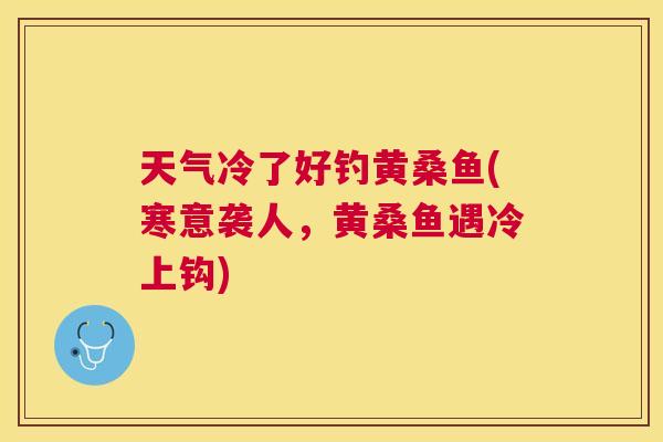 天气冷了好钓黄桑鱼(寒意袭人,黄桑鱼遇冷上钩) 天气冷了好钓黄桑鱼(寒意袭人,黄桑鱼遇冷上钩)