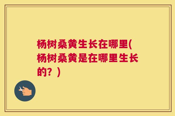 杨树桑黄生长在哪里(杨树桑黄是在哪里生长的?) 杨树桑黄生长在哪里(杨树桑黄是在哪里生长的?)