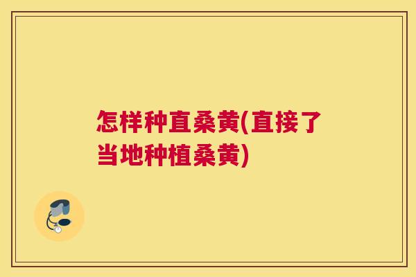 怎样种直桑黄(直接了当地种植桑黄) 怎样种直桑黄(直接了当地种植桑黄)