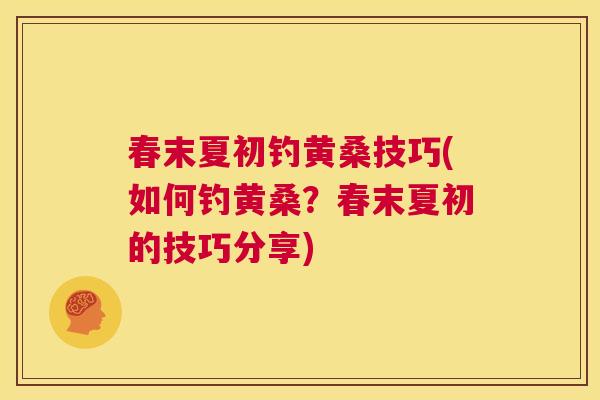 春末夏初钓黄桑技巧(如何钓黄桑?春末夏初的技巧分享) 春末夏初钓黄桑技巧(如何钓黄桑?春末夏初的技巧分享)