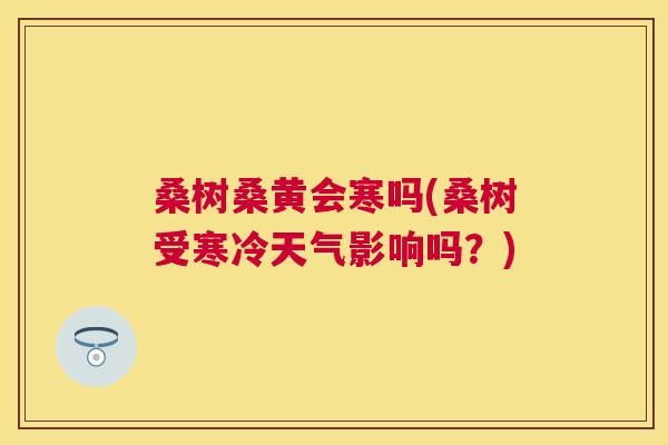 桑树桑黄会寒吗(桑树受寒冷天气影响吗?) 桑树桑黄会寒吗(桑树受寒冷天气影响吗?)