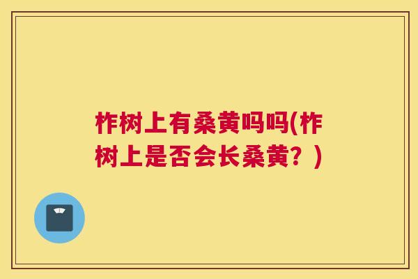 柞树上有桑黄吗吗(柞树上是否会长桑黄?) 柞树上有桑黄吗吗(柞树上是否会长桑黄?)
