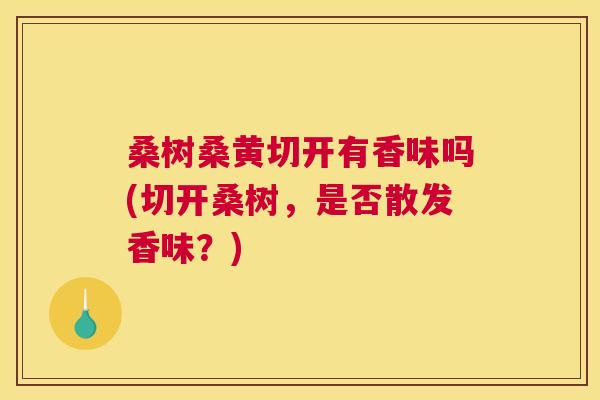 桑树桑黄切开有香味吗(切开桑树,是否散发香味?) 桑树桑黄切开有香味吗(切开桑树,是否散发香味?)