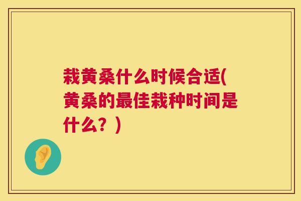 栽黄桑什么时候合适(黄桑的佳栽种时间是什么?) 栽黄桑什么时候合适(黄桑的佳栽种时间是什么?)