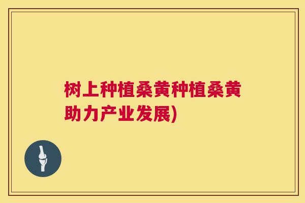 树上种植桑黄种植桑黄助力产业发展) 树上种植桑黄种植桑黄助力产业发展)