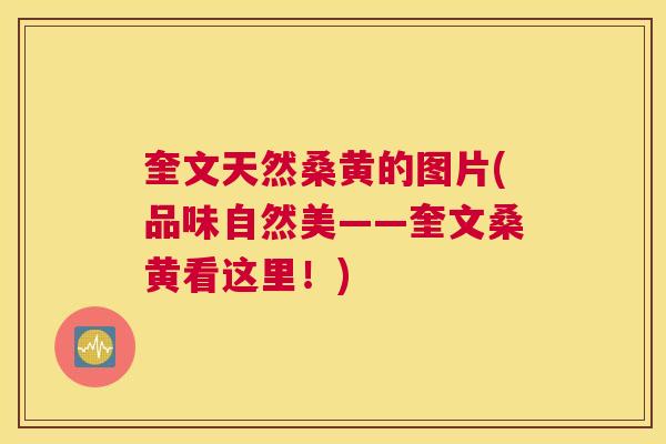 奎文天然桑黄的图片(品味自然美——奎文桑黄看这里!) 奎文天然桑黄的图片(品味自然美——奎文桑黄看这里!)