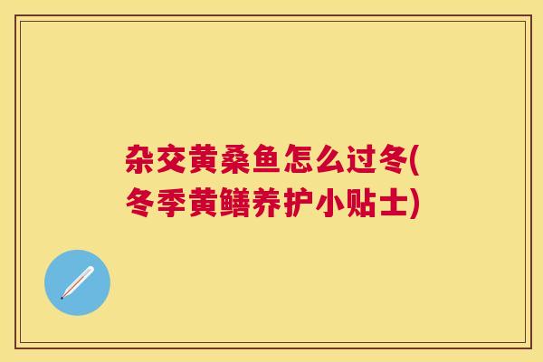 杂交黄桑鱼怎么过冬(冬季黄鳝养护小贴士) 杂交黄桑鱼怎么过冬(冬季黄鳝养护小贴士)