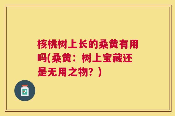核桃树上长的桑黄有用吗(桑黄:树上宝藏还是无用之物?) 核桃树上长的桑黄有用吗(桑黄:树上宝藏还是无用之物?)