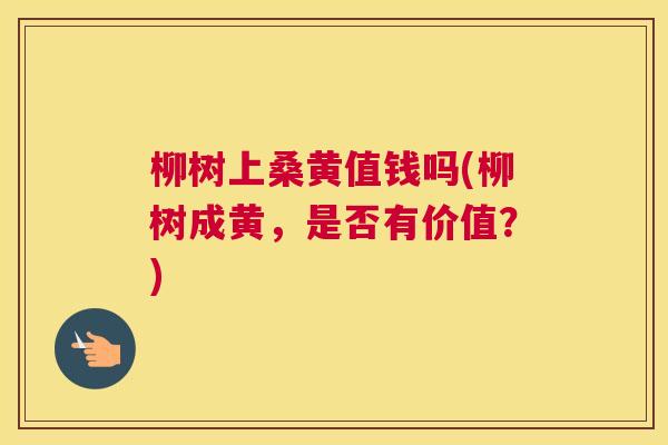 柳树上桑黄值钱吗(柳树成黄,是否有价值?) 柳树上桑黄值钱吗(柳树成黄,是否有价值?)