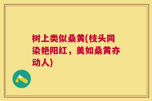 树上类似桑黄(枝头同染艳阳红,美如桑黄亦动人) 树上类似桑黄(枝头同染艳阳红,美如桑黄亦动人)
