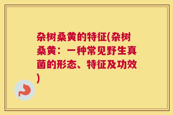 杂树桑黄的特征(杂树桑黄:一种常见野生真菌的形态、特征及功效) 杂树桑黄的特征(杂树桑黄:一种常见野生真菌的形态、特征及功效)