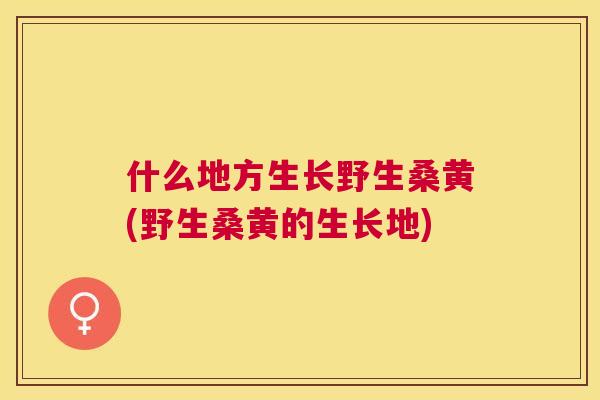 什么地方生长野生桑黄(野生桑黄的生长地) 什么地方生长野生桑黄(野生桑黄的生长地)