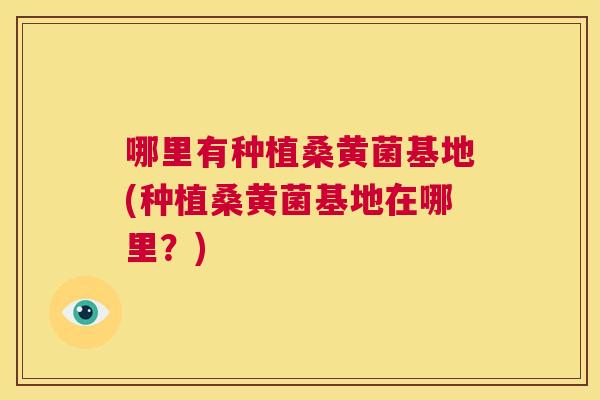 哪里有种植桑黄菌基地(种植桑黄菌基地在哪里?) 哪里有种植桑黄菌基地(种植桑黄菌基地在哪里?)