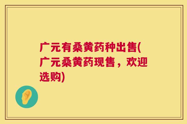 广元有桑黄药种出售(广元桑黄药现售,欢迎选购) 广元有桑黄药种出售(广元桑黄药现售,欢迎选购)