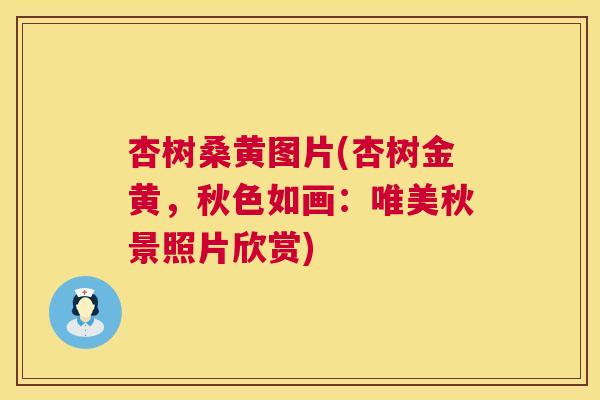 杏树桑黄图片(杏树金黄,秋色如画:唯美秋景照片欣赏) 杏树桑黄图片(杏树金黄,秋色如画:唯美秋景照片欣赏)